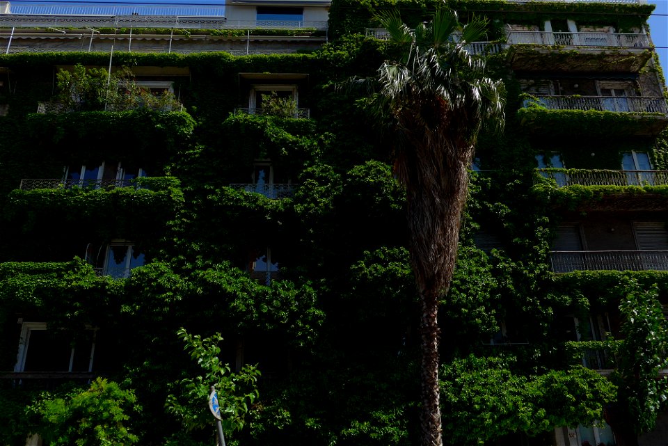 Athens block of flats