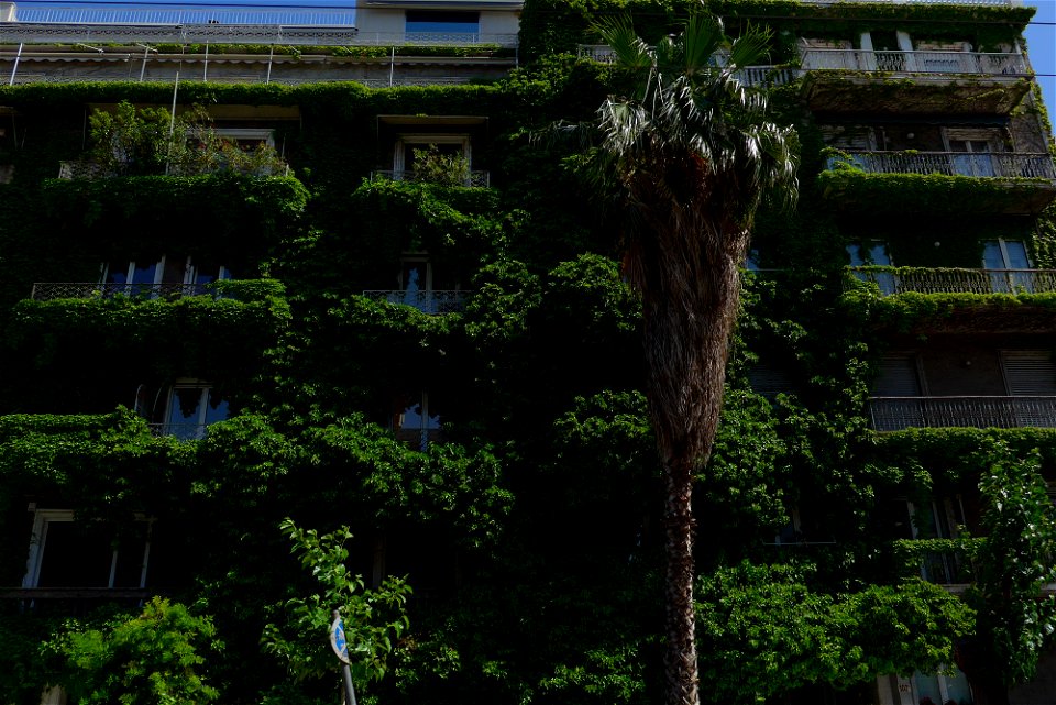 Athens block of flats photo