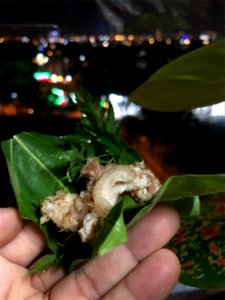 Chạo chân giò Nam Định | Vietnamese traditional food from pork