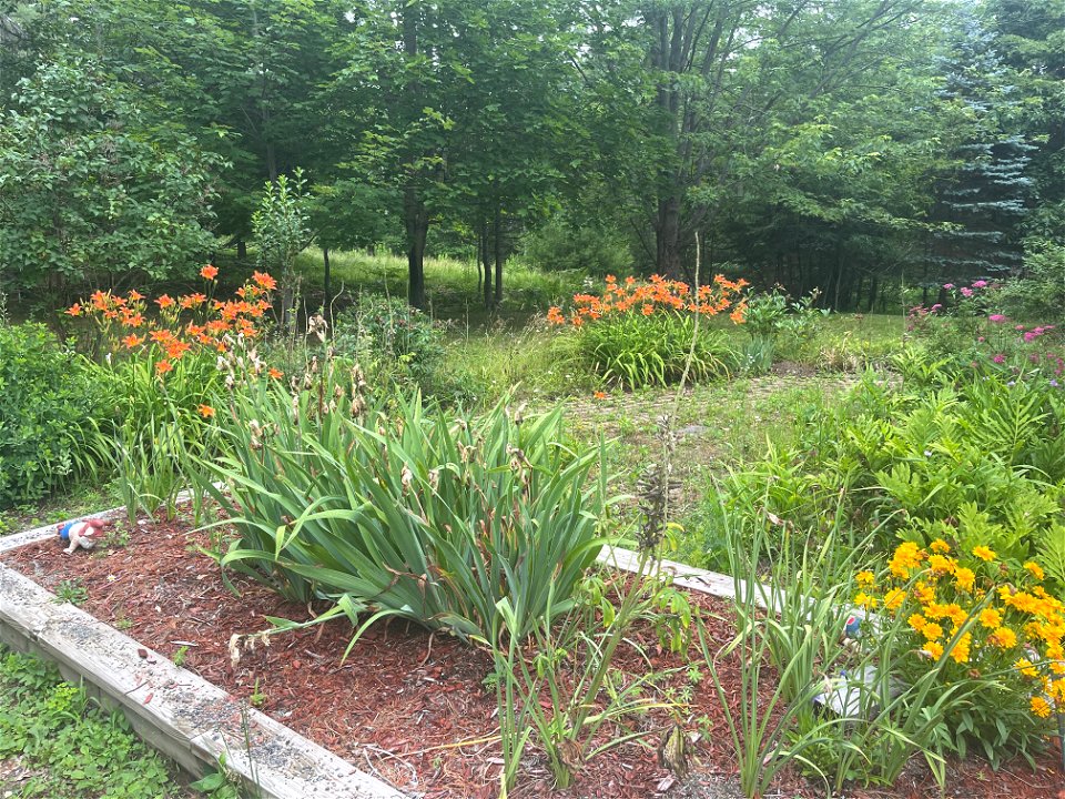 Garden The last owners planted