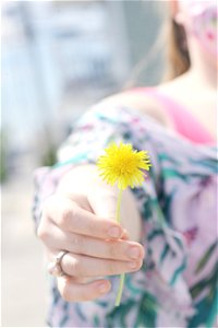 Spring Dandelion in Pastel Colors 2021 photo
