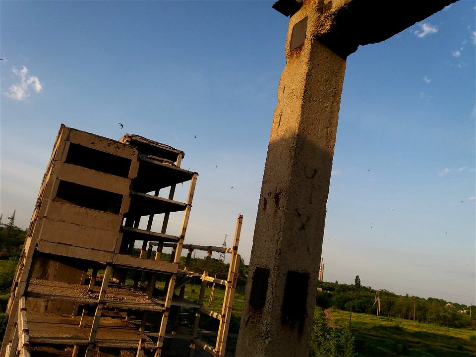 Birds flying over an abandoned building