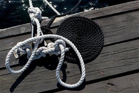 Black coiled mooring rope and a white photo