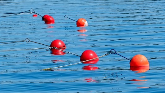 Red buoys in Sämstad photo