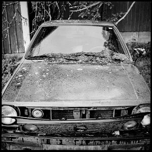 Abandoned VW II photo