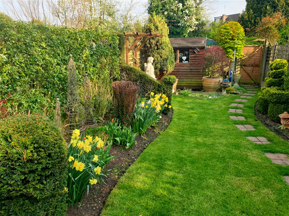 The garden in Spring