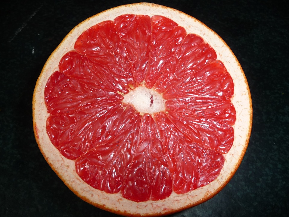 Fruit citrus fruit pulp