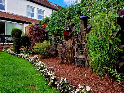 Garden in October photo