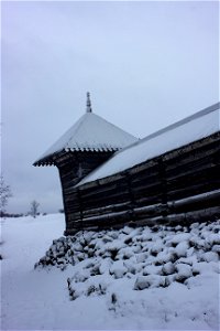 IMG_7344