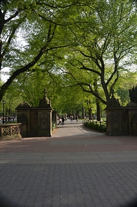 Central Park, New York City photo