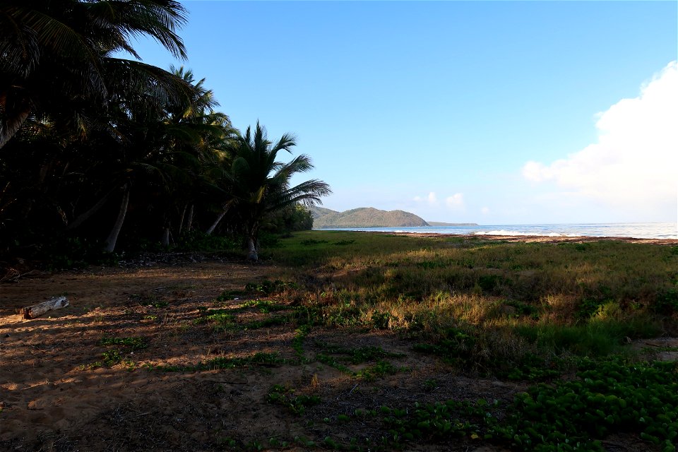 Punta Tuna Beach Trees and Mountains