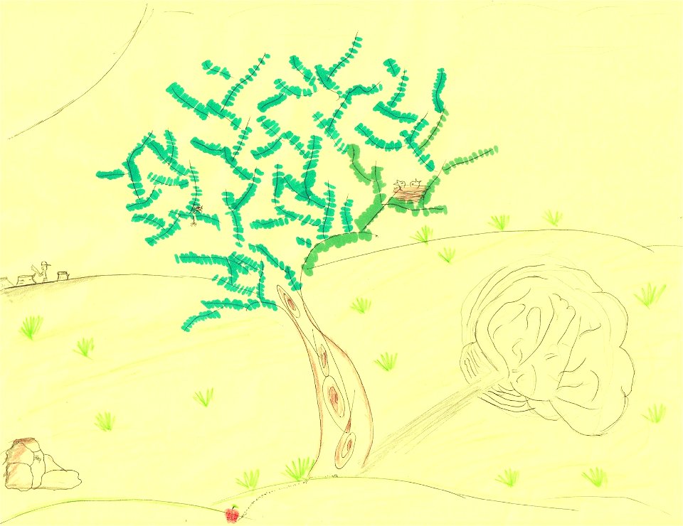 ARBOL JORGE HUERTA VILLAR