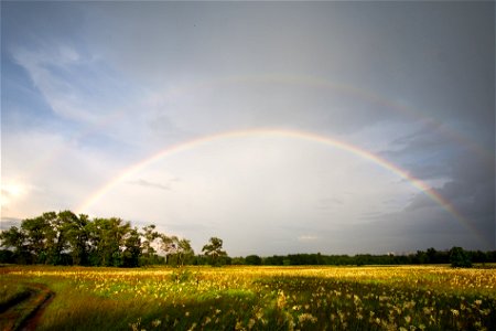 after the rain photo