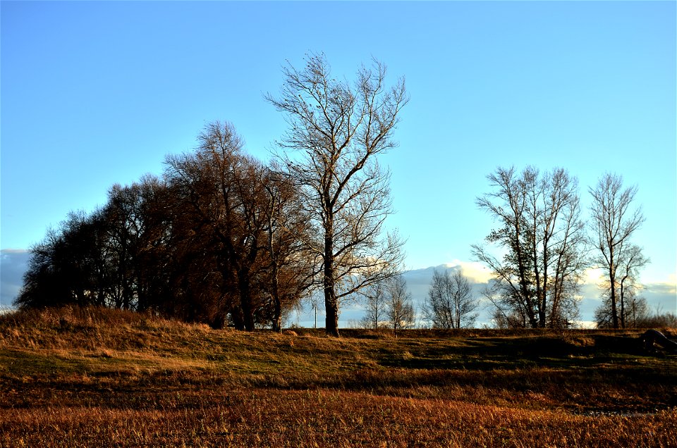 Autumn on the Yenisei River photo