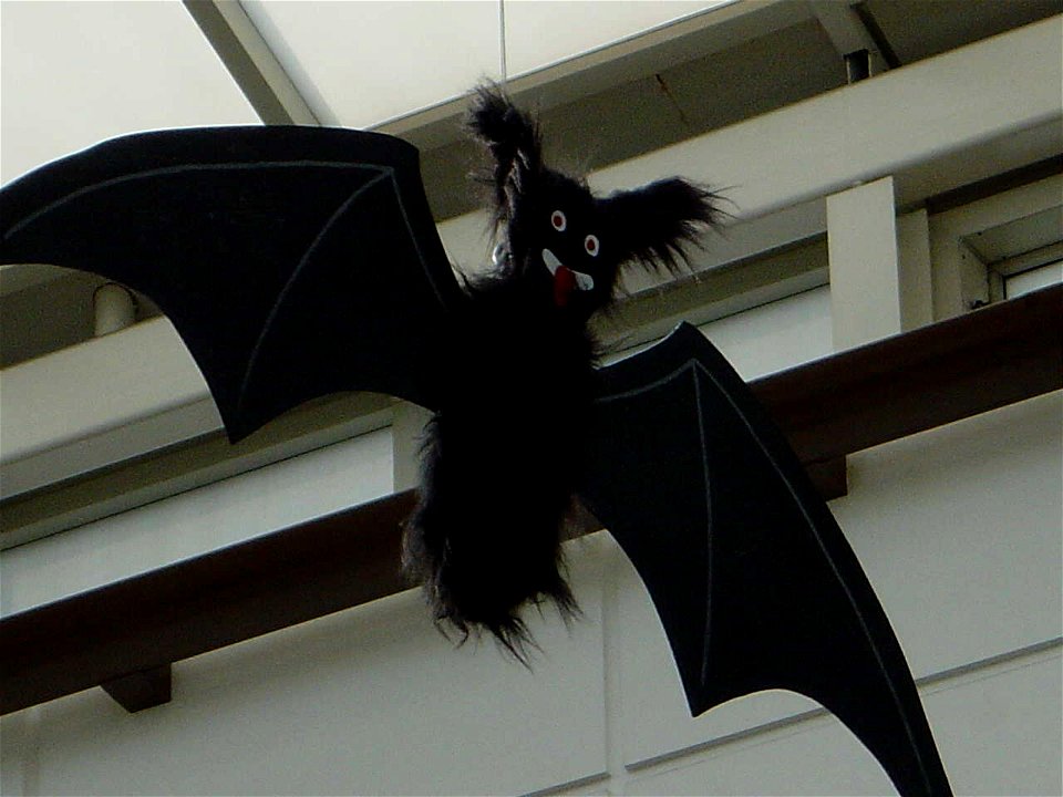 Brent Cross, London NW4, 2003