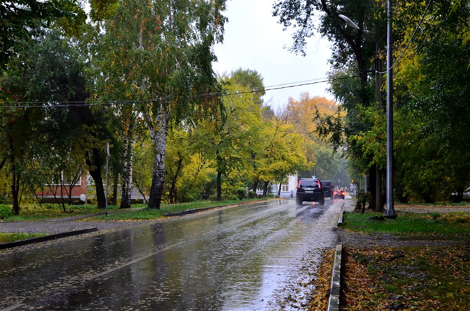 city streets on a rainy autumn day
