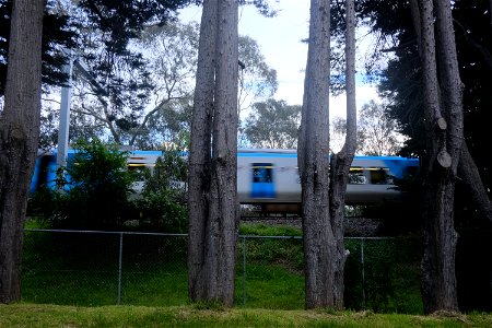 DSCF8786