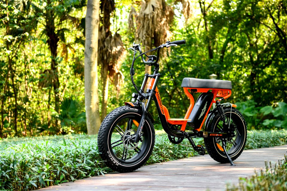 Crusier Electric bike