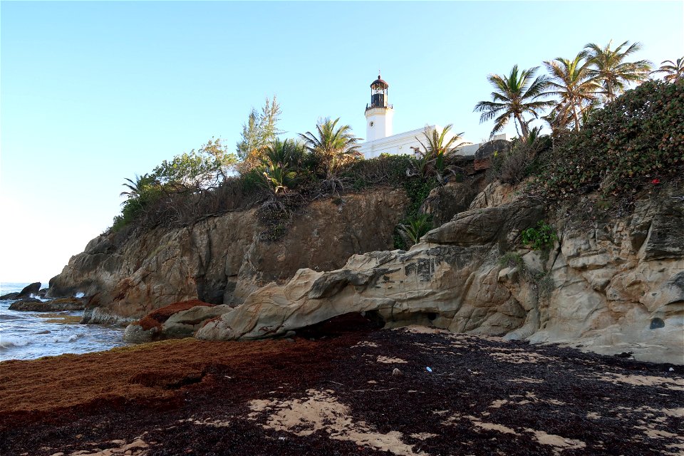 Punta Tuna Lighthouse Sargassum