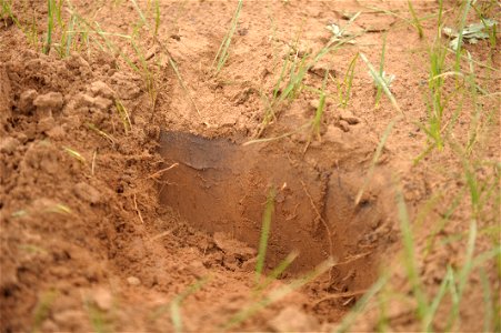 After a wildfire three weeks earlier, a thin layer of black ash is evident just below the soil surface. High winds deposited sand on top of the ash.