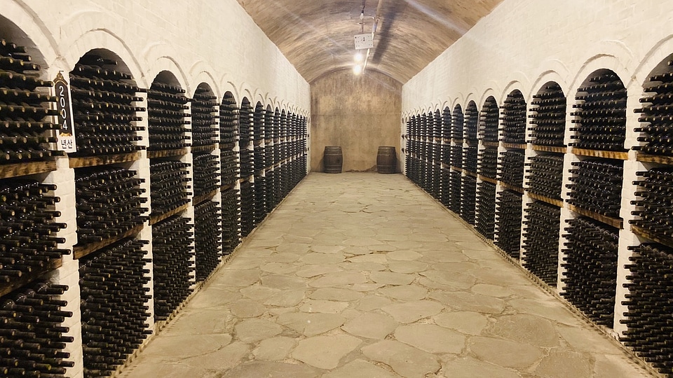 Shelving with wine bottles in winery shop