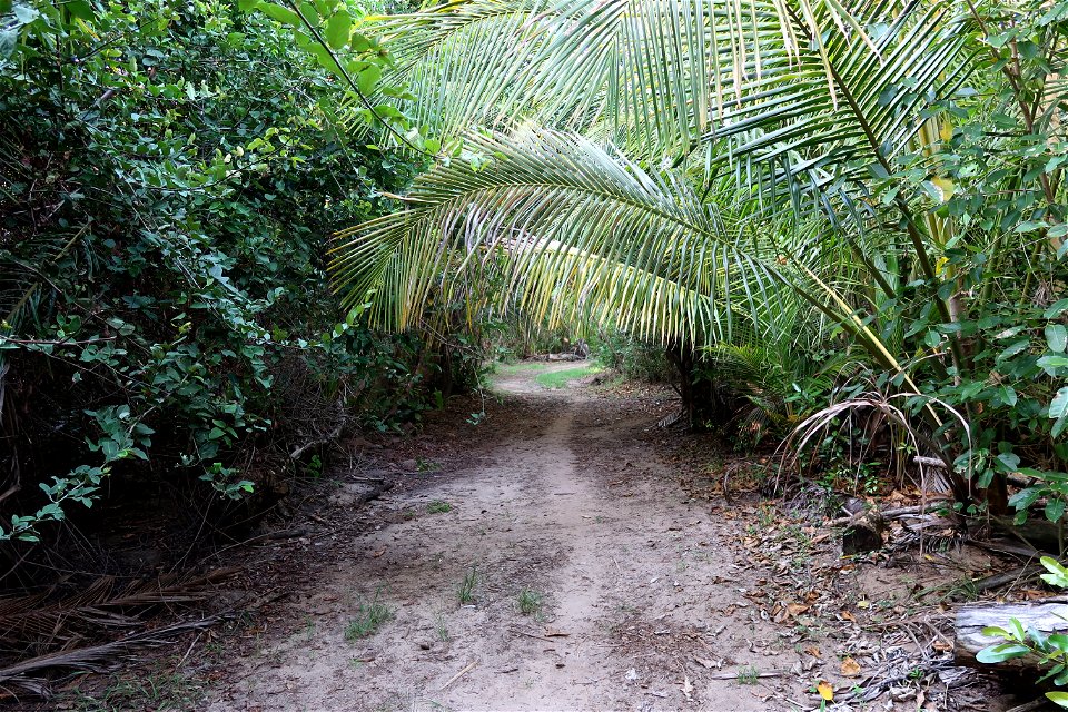 Punta Tuna Beach Jungle