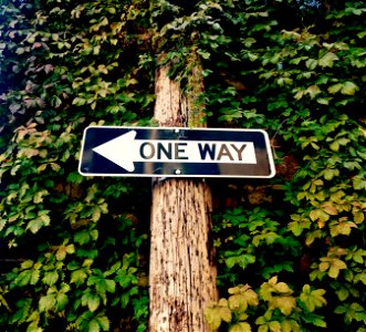 One Way Sign photo
