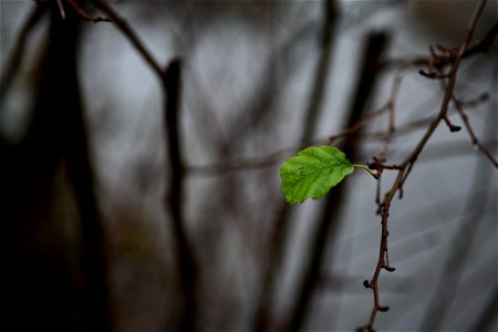 P1076788