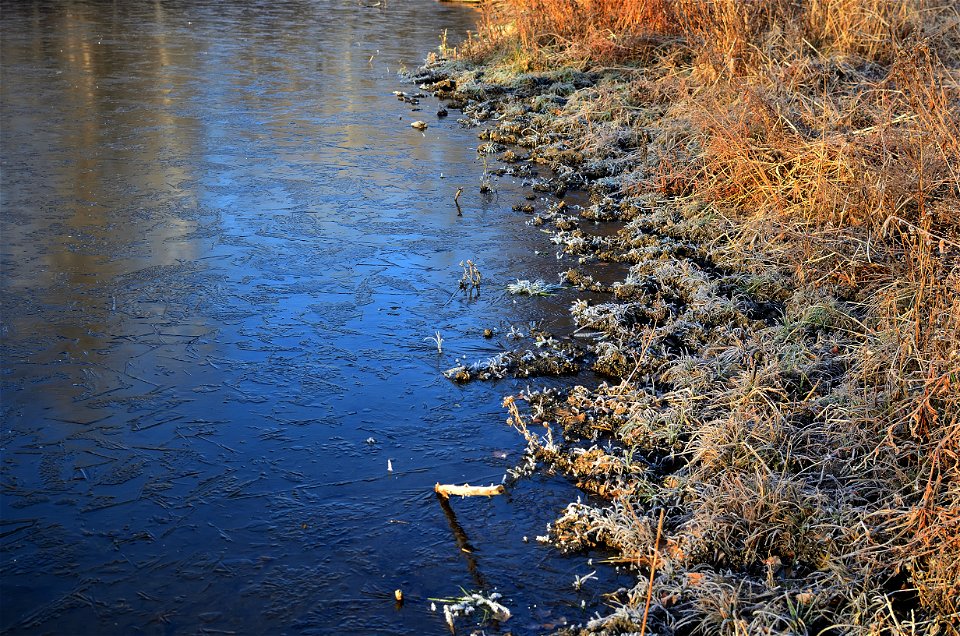 frosty morning on the river bank