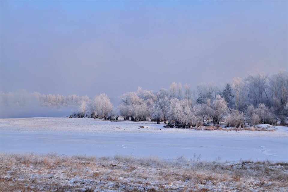 foggy frosty morning on the river bank photo