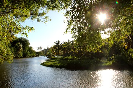 Tropical River Landscape photo