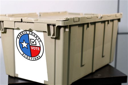Provisional ballot tub