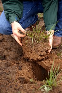 NRCS Texas Soil Scientist Nathan Haile examines soil condition after a wildfire three weeks earlier.