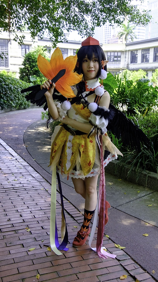 Anime cosplay Costume sexy Girl