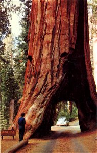 Yosemite National Park photo