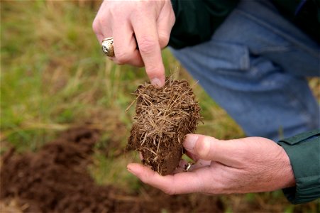Ground cover and litter creates organic matter, which is an important part of soil and rangeland health. photo