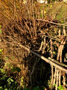 Onderweg naar de Sint-Pietersberg - Bemelen