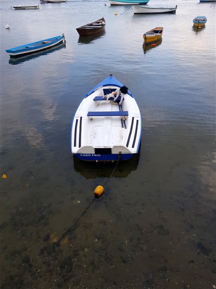 bizarrices dos pescadores