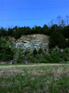 Limestones and Shales of the Point Pleasant Formation (Felicity, Ohio, USA) photo