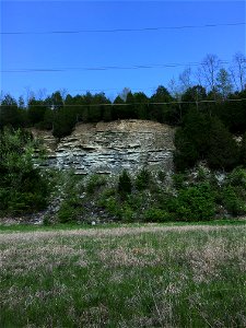 Limestones and Shales of the Point Pleasant Formation (Felicity, Ohio, USA)