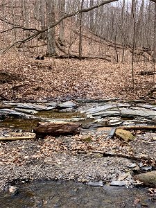 Concretion Depression Features (Lazarus Run, Orange Township, Ohio, USA)