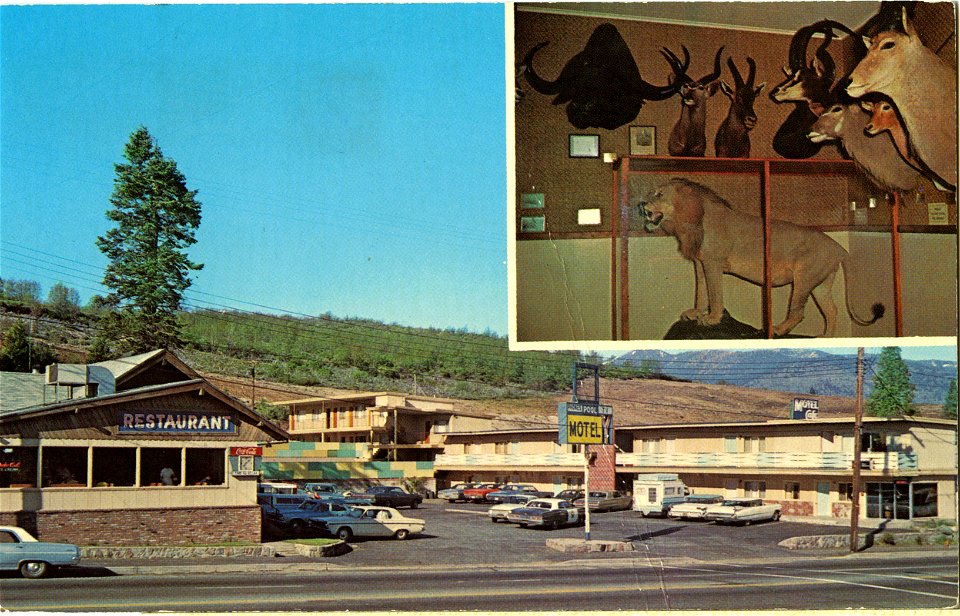The Y Cafe & Motel, Weed, California