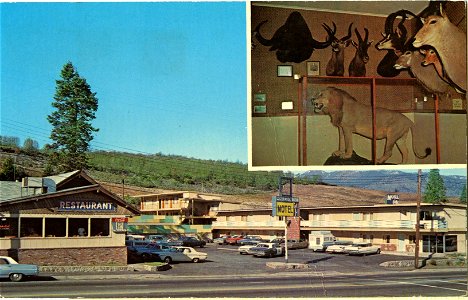 The Y Cafe & Motel, Weed, California photo