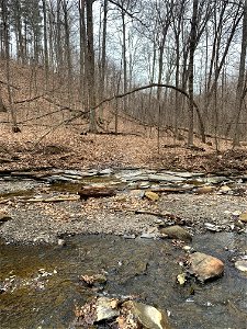 Concretion Depression Features (Lazarus Run, Orange Township, Ohio, USA) photo