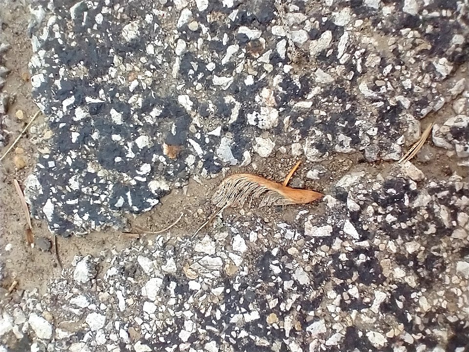 pavement dark road cracked crack