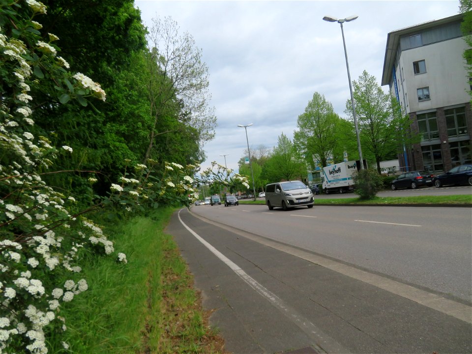IMG_2159 Perspektiven Deutschland  Bottrop (10.05.2021)