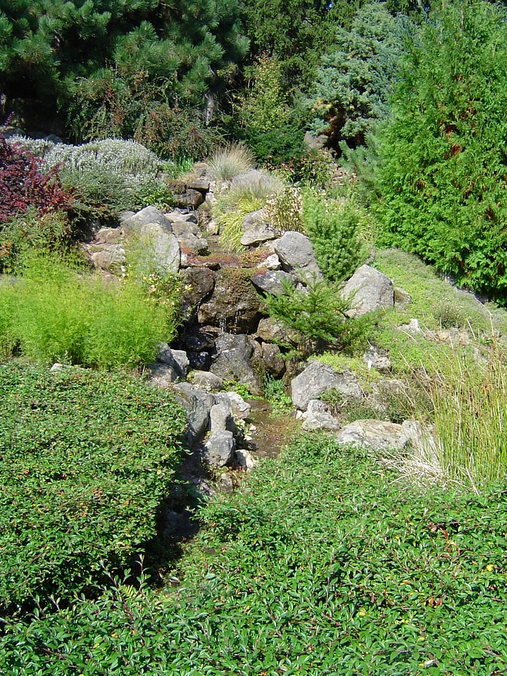 Rocks in the grass
