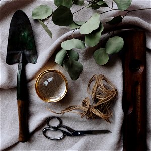Old Fashioned Garden Tools photo