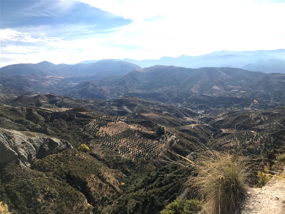 Beas de Granada 2