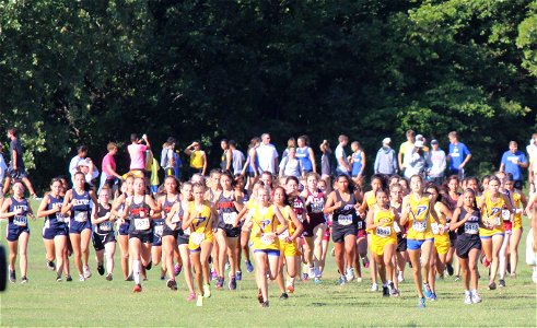 Piedmont XC